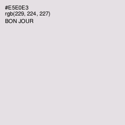 #E5E0E3 - Bon Jour Color Image